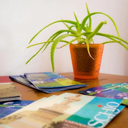 Casa Jacquard * סקיו