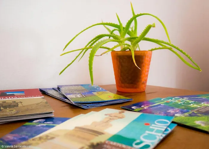 Casa Jacquard * سكيو